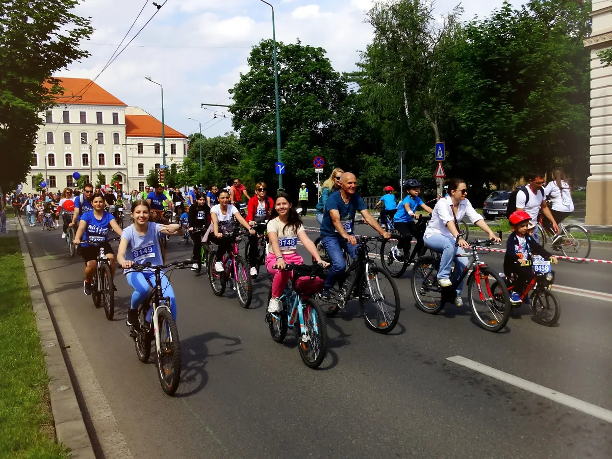 Sesiune de consiliere Timotion 12 – prezentare generală