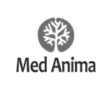 Medanima